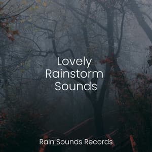 Lovely Rainstorm Sounds - Relaxing Rain Sounds