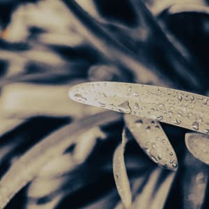 1AM Water Sounds: Renewal - 24H Rain Sounds