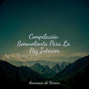 Compilación Somnolienta Para La Paz Interior - Saludo al Sol Sonido Relajante