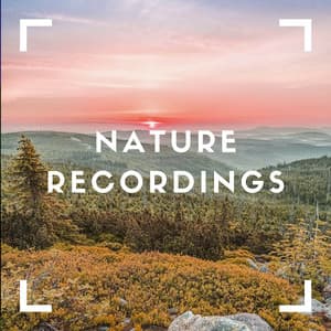 Quiet Storm For Sleep - Natural Sample Makers