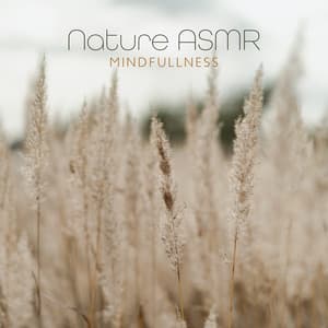 Nature ASMR: Mindfullness - Ayurveda