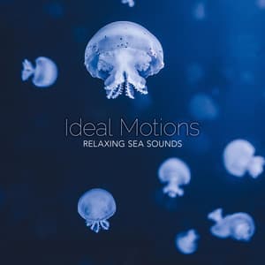 Ideal Motions - Relaxing Sea Sounds