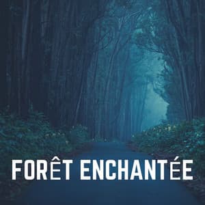 Forêt Enchantée - Oasis de Musique Nature Relaxante