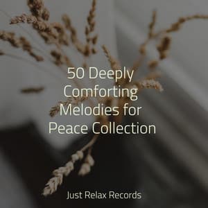 50 Deeply Comforting Melodies for Peace Collection - Relaxamento