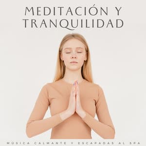Meditación Y Tranquilidad: Música Calmante Y Escapadas Al Spa - Meditación de Música Asiática Zen Spa