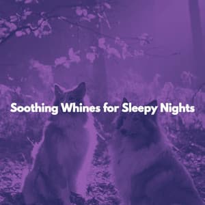 Soothing Whines for Sleepy Nights - Cafe BGM Tokyo