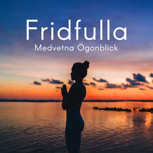Fridfulla Medvetna Ögonblick - Sean Evenett