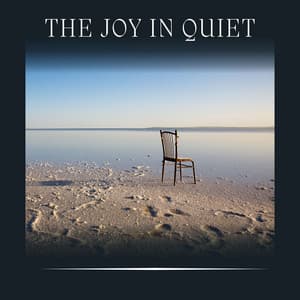 The Joy in Quiet - Ambient 11