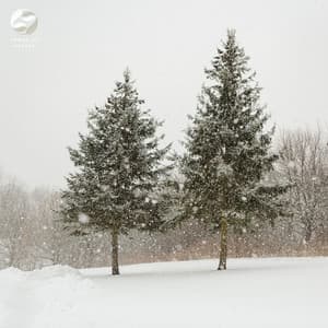 Echoes Of Piano Amidst Nature - Mother Nature Ambience