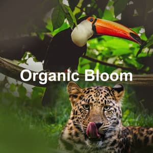 Organic Bloom - Tranquil Forest Effect