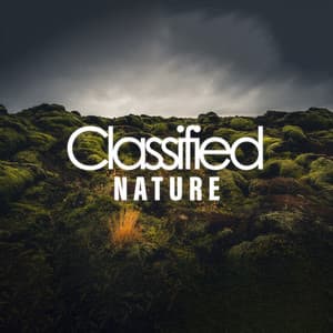 Classified Nature - Sleep Sounds of Nature