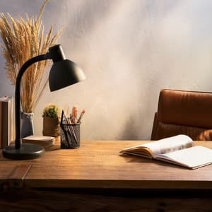 Music To Fuel The Mind And Study - Acoustic Study Music Beats