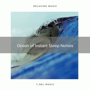2021 Ocean of Instant Sleep Noises - Ocean Sleep Sounds