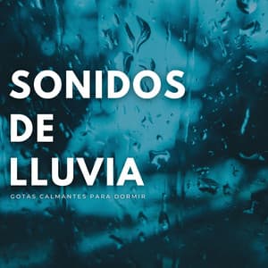 Sonidos De Lluvia: Gotas Calmantes Para Dormir - Lluvia para un sueño profundo