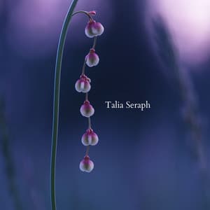 Blooming Beneath A Velvet Dusk - Talia Seraph