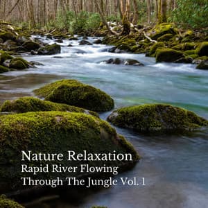 Nature Relaxation: Rapid River Flowing Through The Jungle Vol. 1 - Yoga Meditation and Relaxation Music