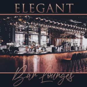Elegant Bar Lounges - Coffee Lounge Collection