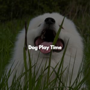 Dog Play Time - Happy Morning Jazz