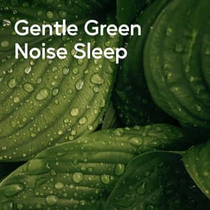 Gentle Green Noise Sleep - Nature Of Sweden