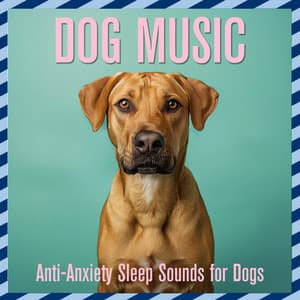 Dog Music: Anti-Anxiety Sleep Sounds for Dogs - Relaxmydog
