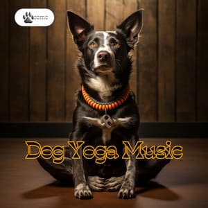 Dog Yoga Music - PAWsome