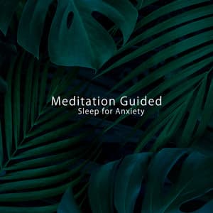 Meditation Guided Sleep for Anxiety: Healing New Age Music, Anti Stressful Day - Chakra Meditation Universe