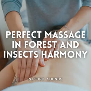 Nature Sounds: Perfect Massage in Forest and Insects Harmony - Massagely Musicton
