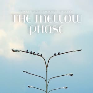 The Mellow Phase - Chillout Lounge Music