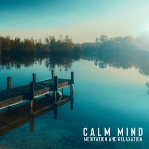 Calm Mind: Meditation and Relaxation, Relaxing Feelings with Clearing Mind Technique - Relax Yoga Music Meditation
