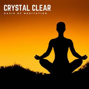 Crystal Clear: Beginner Meditation - Oasis of Meditation