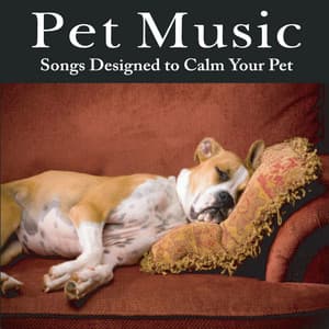 Pet Music: Songs Designed to Calm Your Pet Music for Pets, Music for Dogs, Music for Cats - Pet Music Artists
