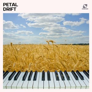 Petal Drift: Melancholic Piano Melodies - Piano Music Harmony