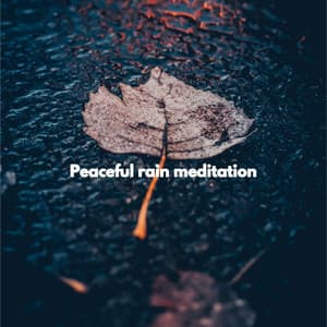 Peaceful rain meditation - Deluxe Cafe Jazz