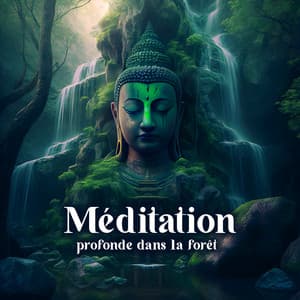 Méditation profonde dans la forêt - Musique thérapeutique pour la relaxation, Sons de la nature, Chant des oiseaux, Rivière qui coule, Sons de la nuit - Oasis de sommeil