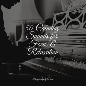 Spring Piano Soundscapes - Canciones de Cuna Relax