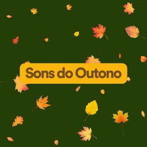 Sons do Outono - Musicoterapia