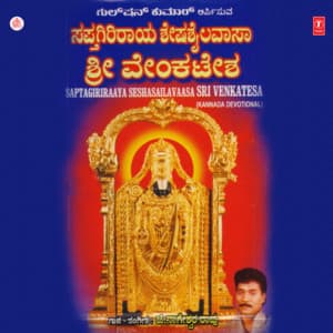 Saptagiriraaya Seshasailavaasa Sri Venkatesa - G. Nageshwara Naidu