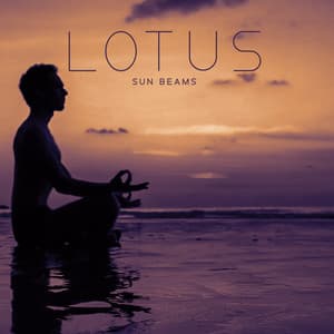 Lotus Sun Beams: Breath of Serenity, Zen Meditation, Peaceful Yoga Music, Chakra Balancing, Dreamy Relaxation, Mindfulness & Healing - Energizing Yoga Zone