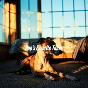 Pup's Favorite Tunes - Music for Dogs Moments