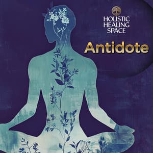 Antidote - Holistic Healing Space
