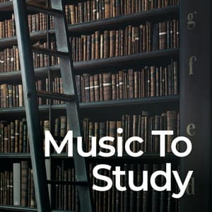 Music to Study: Studying and Focus - Calm Music for Studying