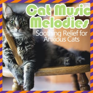 Cat Music Melodies - Soothing Relief for Anxious Cats - RelaxMyCat