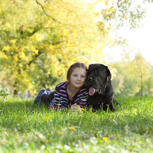 Blissful Coexistence: Binaural Fusion of Pets and Nature's Essence - Island Nature Sounds