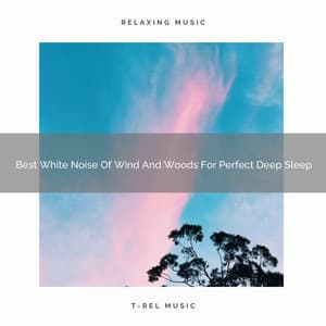 Best White Noise Of Wind And Woods For Perfect Deep Sleep - Dreamy White Noise