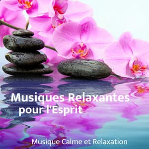 Musiques relaxantes pour l'esprit - Musique Calme et Relaxation