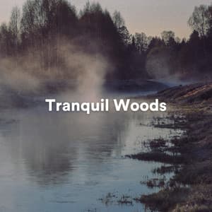 Tranquil Woods - Background Sound Effects Meditation Spa