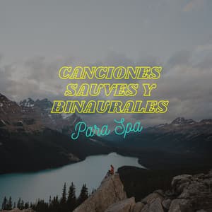 Canciones Suaves Y Binaurales Para Spa - Spa de ritmos binaurales
