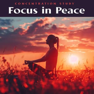 Focus in Peace - Concentration Study