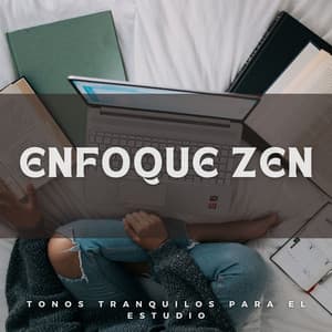 Enfoque Zen: Tonos Tranquilos Para El Estudio - Sonidos De Todos Ruídos