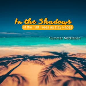 In the Shadows of the Tall Trees as Day Fades - Summer Meditation